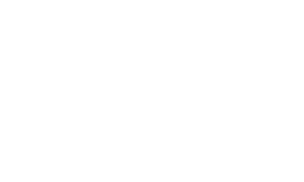 dm-logo-allegro