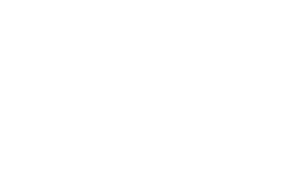 dm-logo-magento