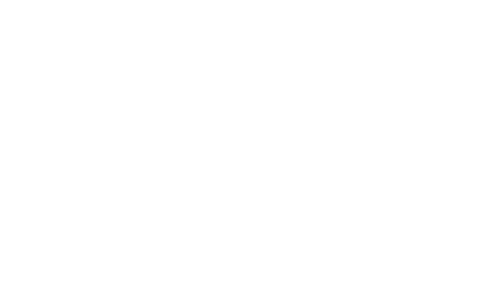 dm-logo-make