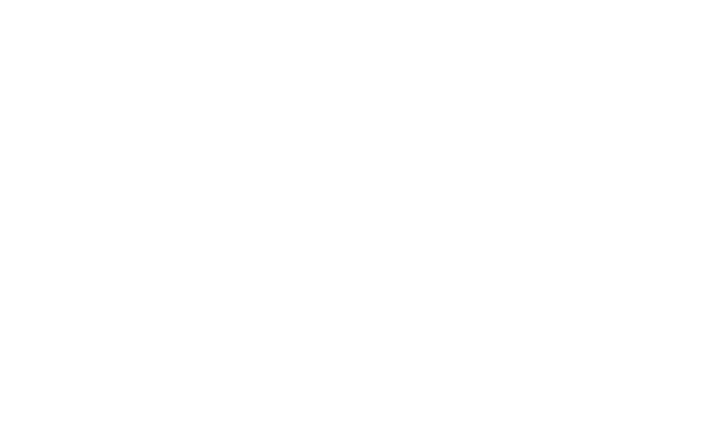 dm-logo-n8n