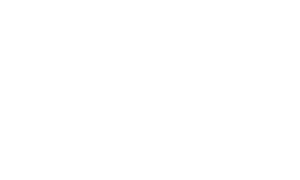 dm-logo-shopify