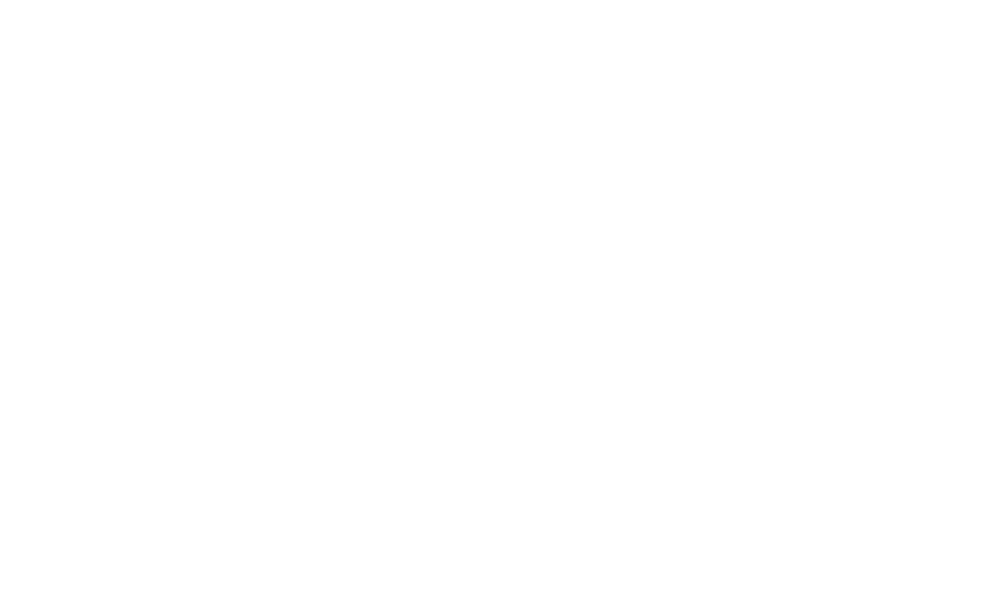 dm-logo-woocommerce